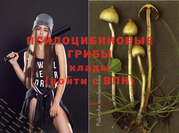 дурь Снежногорск